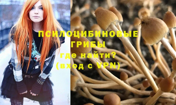mdpv Корсаков