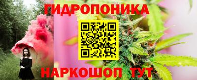 дурь Можга