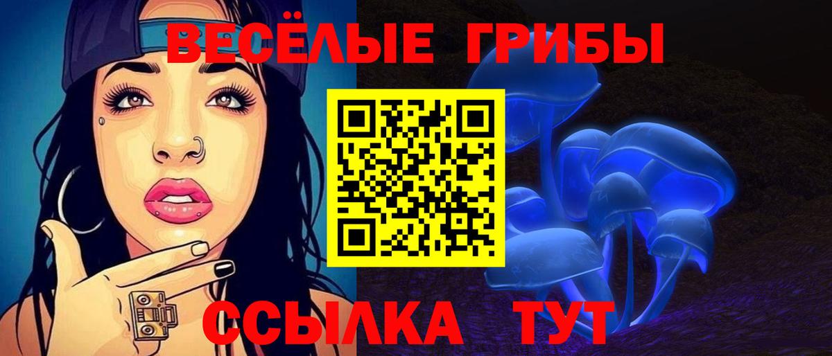 Галлюциногенные грибы Magic Shrooms  Псилоцибиновые грибы мицелий  Вход с VPN  Новотроицк 